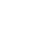 ICON_Research_CoreValues_White