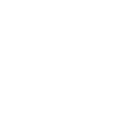 ICON_Research_Empowering_White