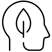 ICON_Research_Reduction