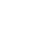 ICON_Research_Research_White